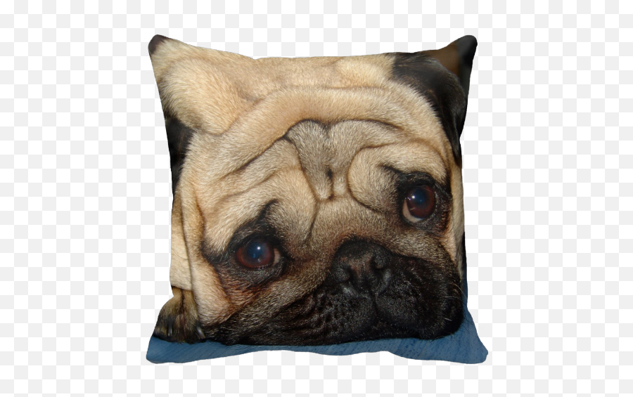 Download Hd Europug Face Pillow - Zazzle Euro Pug Face Emoji,Pug Face Png