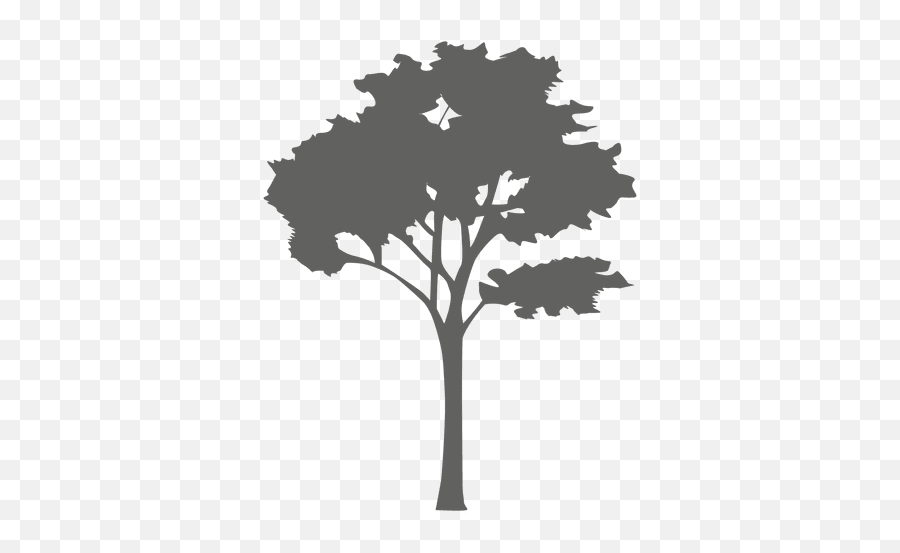 Maple Tree Silhouette 2 - Transparent Vector Tree Silhouette Emoji,Tree Silhouette Png