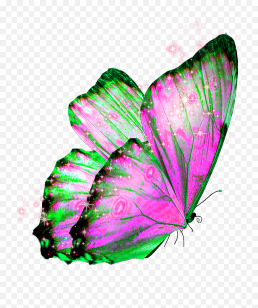 Butterfly Wings Butterflywings Fairy - Transparent Emoji,Butterfly Wings Clipart