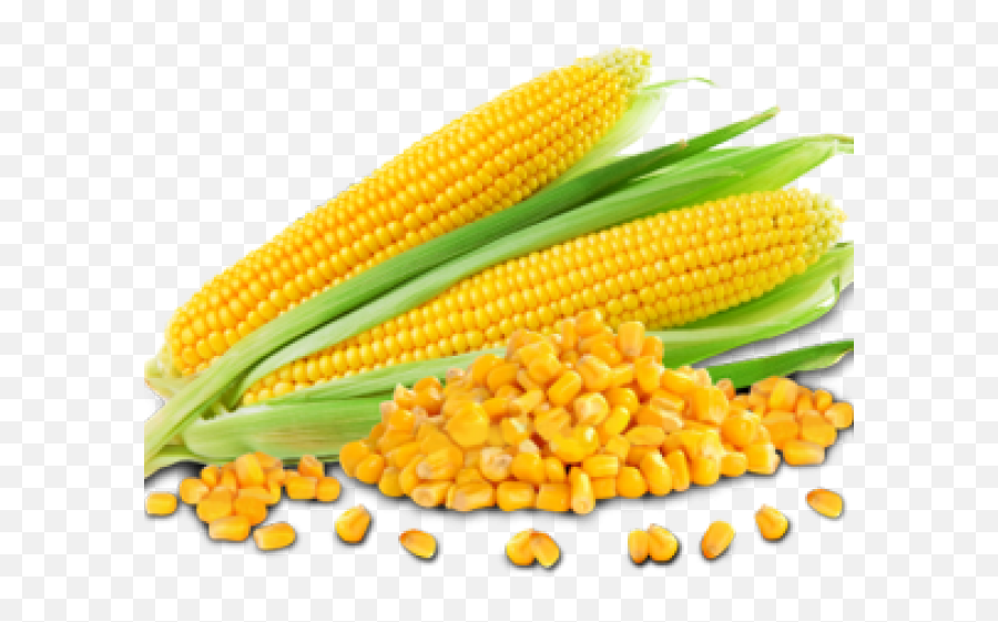 Corn Png - Corn Png Emoji,Corn Png