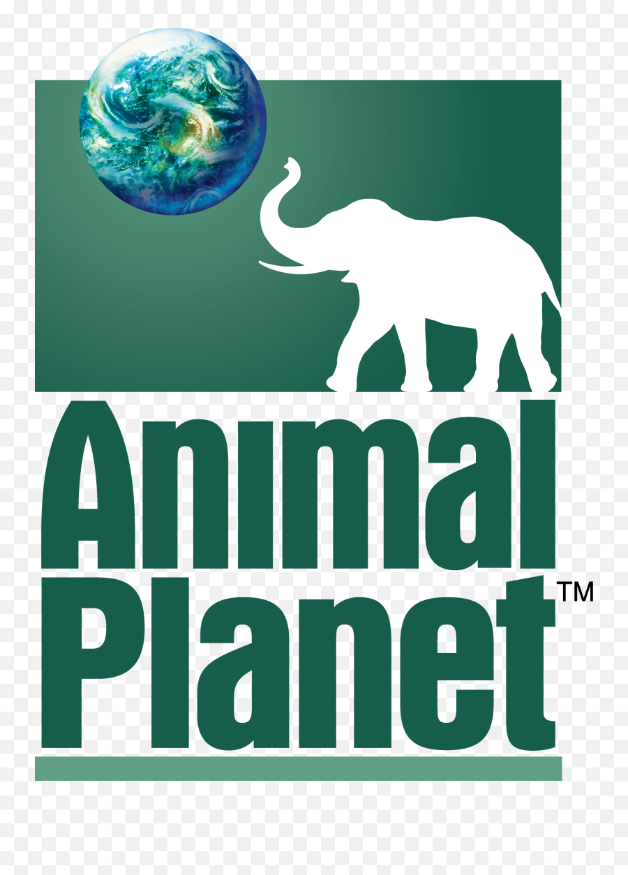 History Of All Logos All Animal Planet Logos - Logo De Animal Planet Emoji,Planet Express Logo