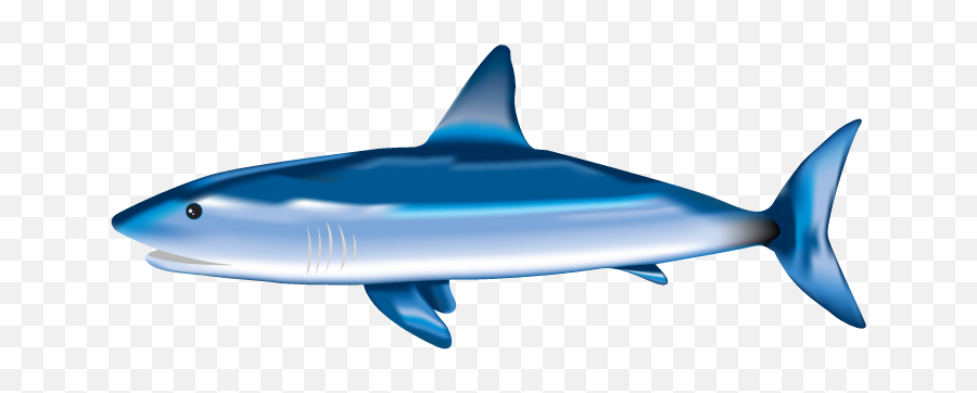 Shark Yellow Leaf Png Vector Psd - Shark Fish With Pencil Color Emoji,Shark Transparent Background