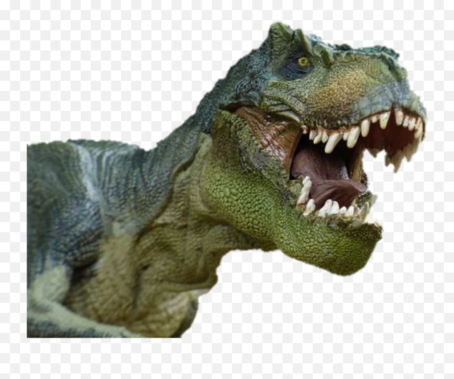 Dinosaur Png - Imagem De Dinossauro Png Emoji,Dinosaur Png