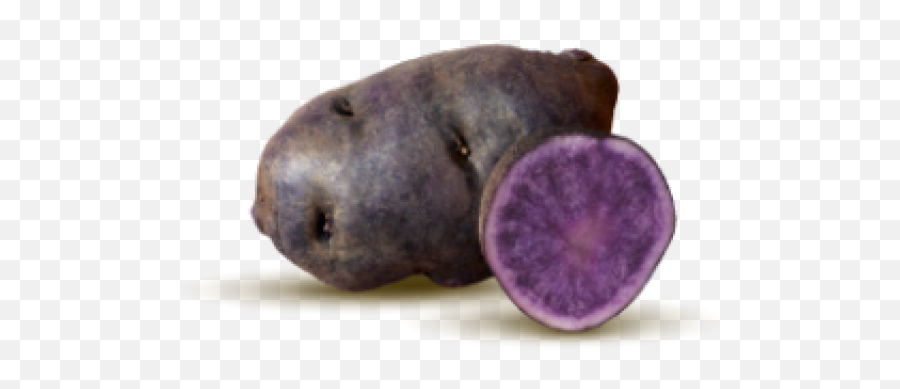 Potato Clipart Derpy - Fresh Emoji,Potato Clipart