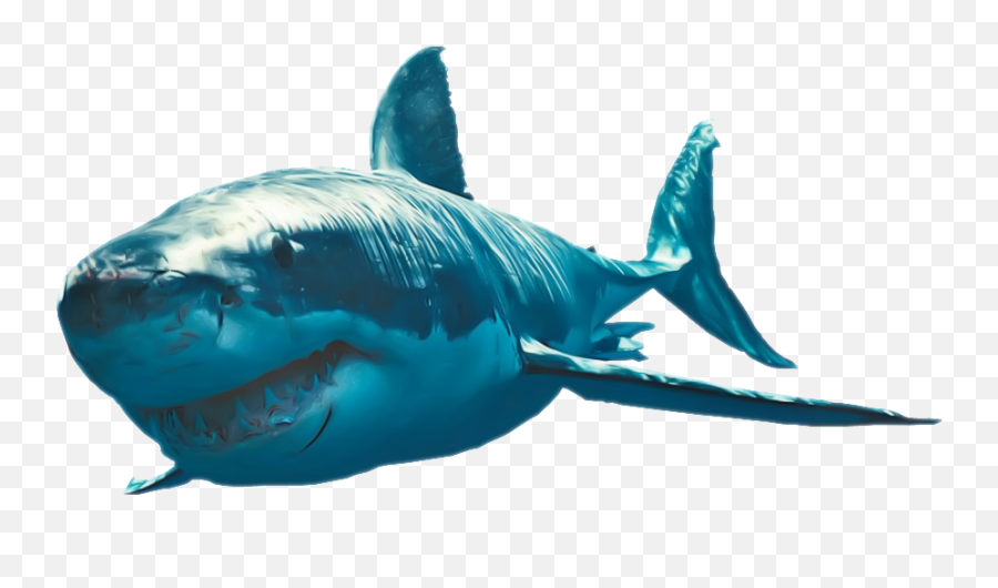 Download Shark Clipart Hq Png Image - Great White Shark Transparent Background Emoji,Shark Clipart