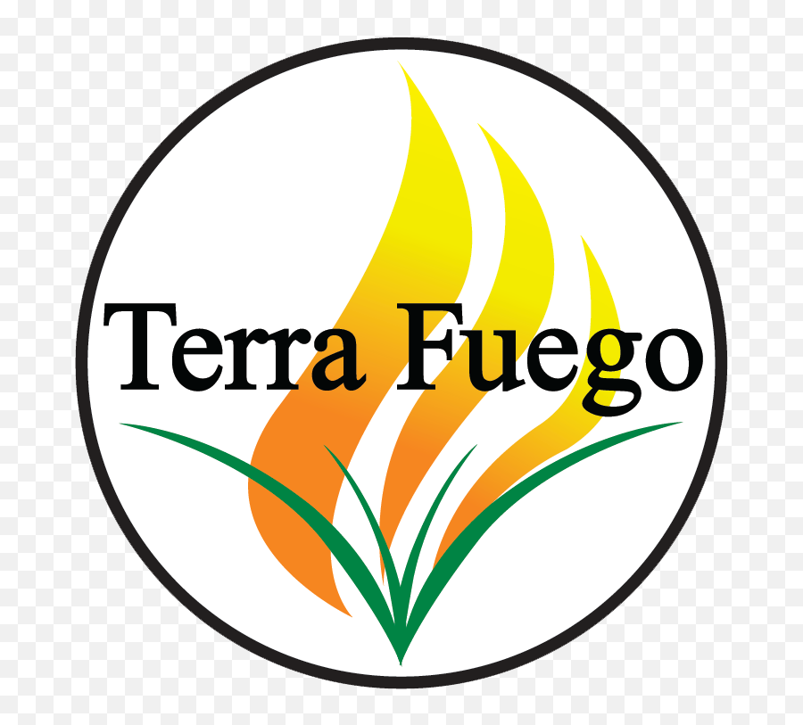 Terra Fuego - Tec De Monterrey Nuevo Emoji,Fuego Png