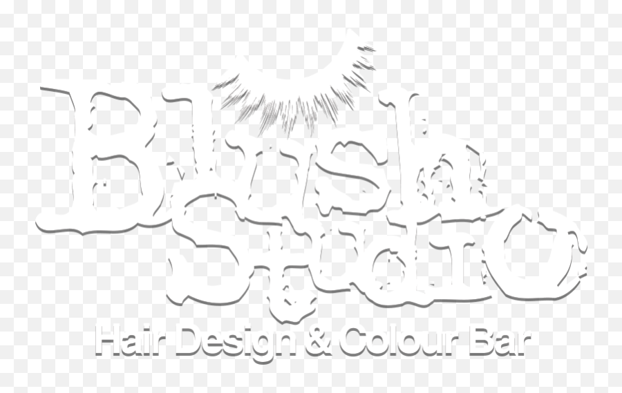 Blush Studio Hair Salon Springfield Mo - Language Emoji,Studio Logo
