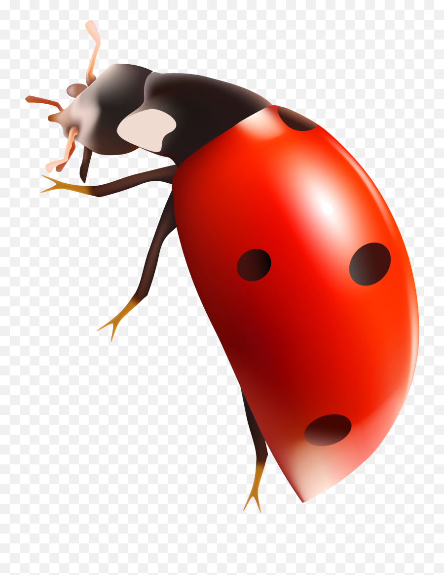 Lady Bug Png Clipart Ladybug Clip Art Free Clip Art - Ladybug Transparent Background Emoji,Bugs Clipart