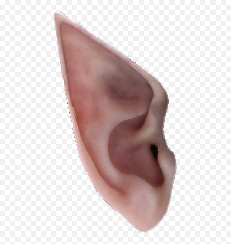 Oirishnicole - Transparent Elf Ear Png Emoji,Ear Png