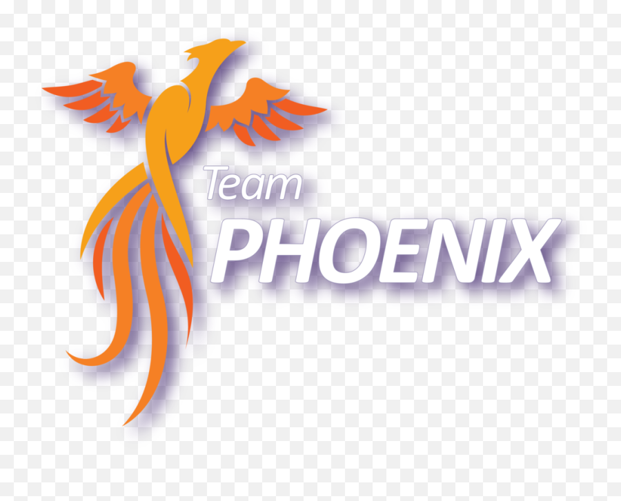 Logo And Cycling Jersey Design Team Phoenix U2014 Matt Gnas Emoji,Phoenix Logo