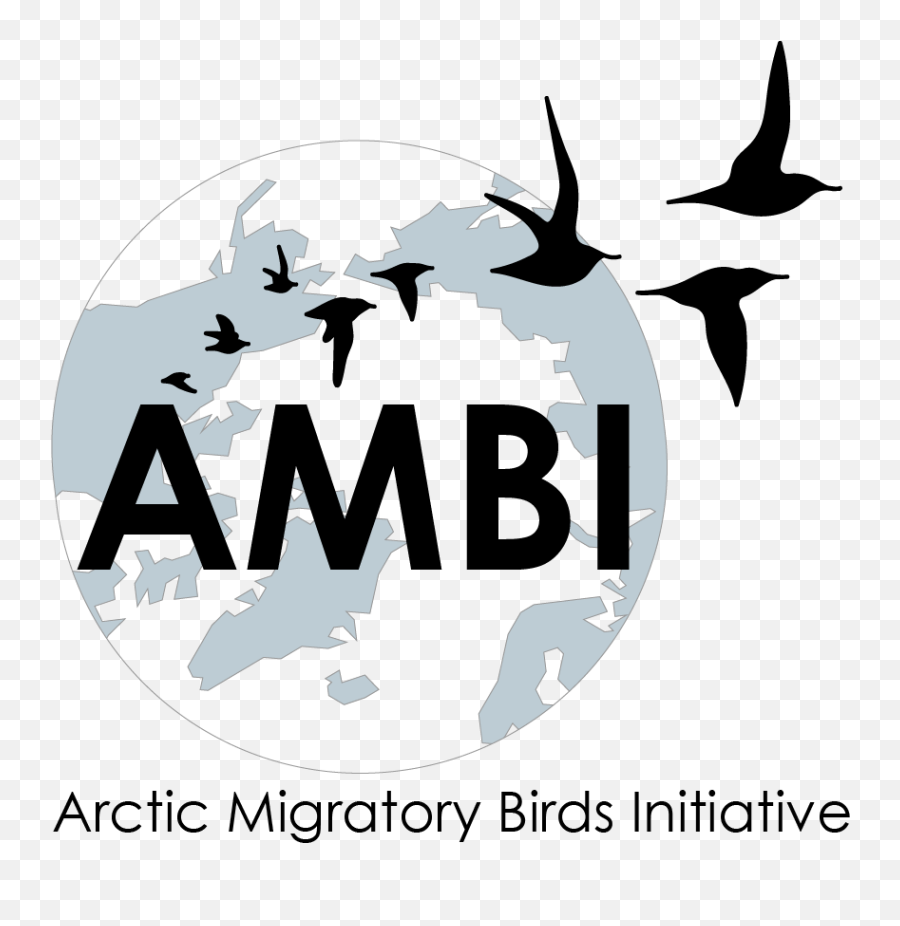 Arctic Migratory Birds Initiative East Asian - Australasian Ambi Logo Emoji,Flora Logos