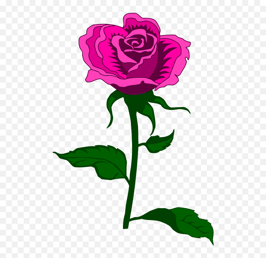 Pink Rose On The Stem Clipart Free Download Transparent - Rose Graphics Emoji,Pink Rose Clipart