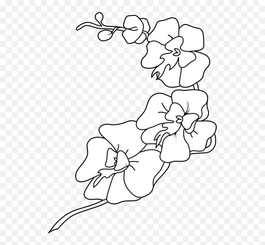 Orchid Clipart - Orchid Coloring Page Emoji,Orchid Clipart