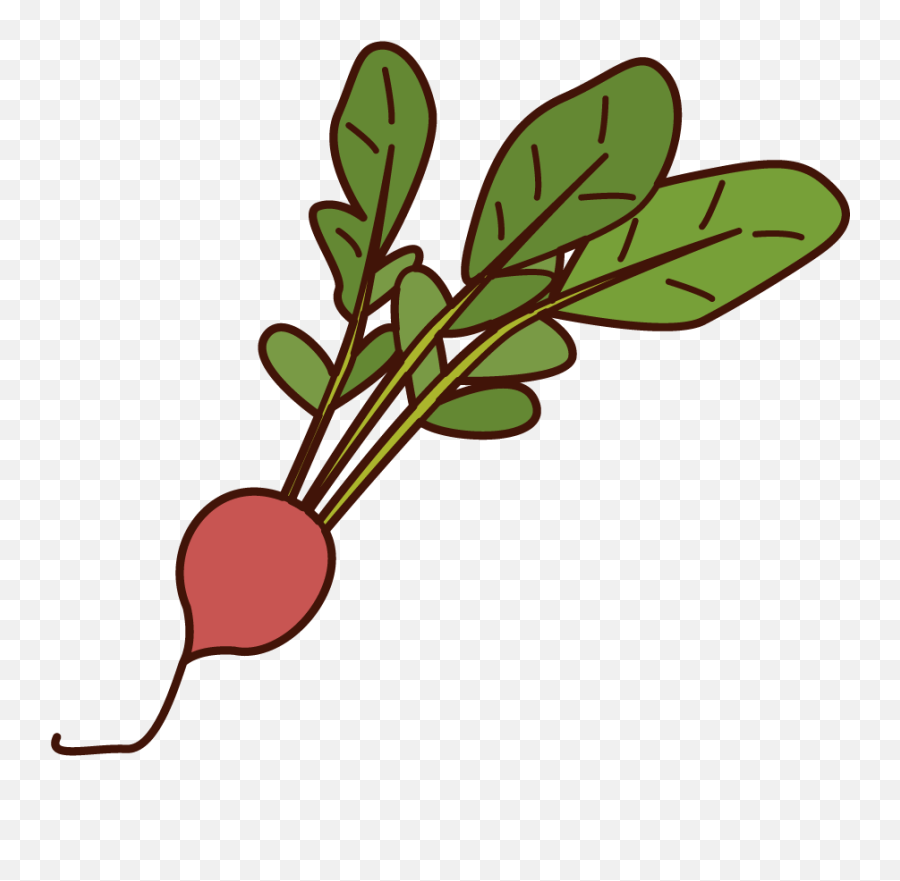 Root Vegetables Free Illustration Materials Kukukeke Emoji,Rhubarb Clipart