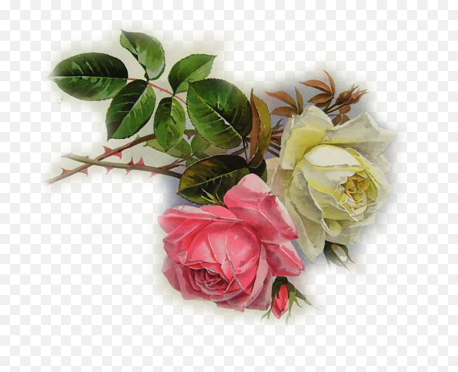 Fotki Clipart Garden Roses Flower - Fotki Full Size Png Emoji,Flower Garden Clipart
