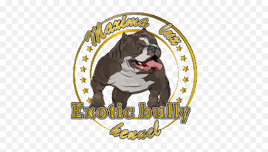 Exotic Bully Europe Exoticbully - Profile Pinterest Emoji,Bully Png