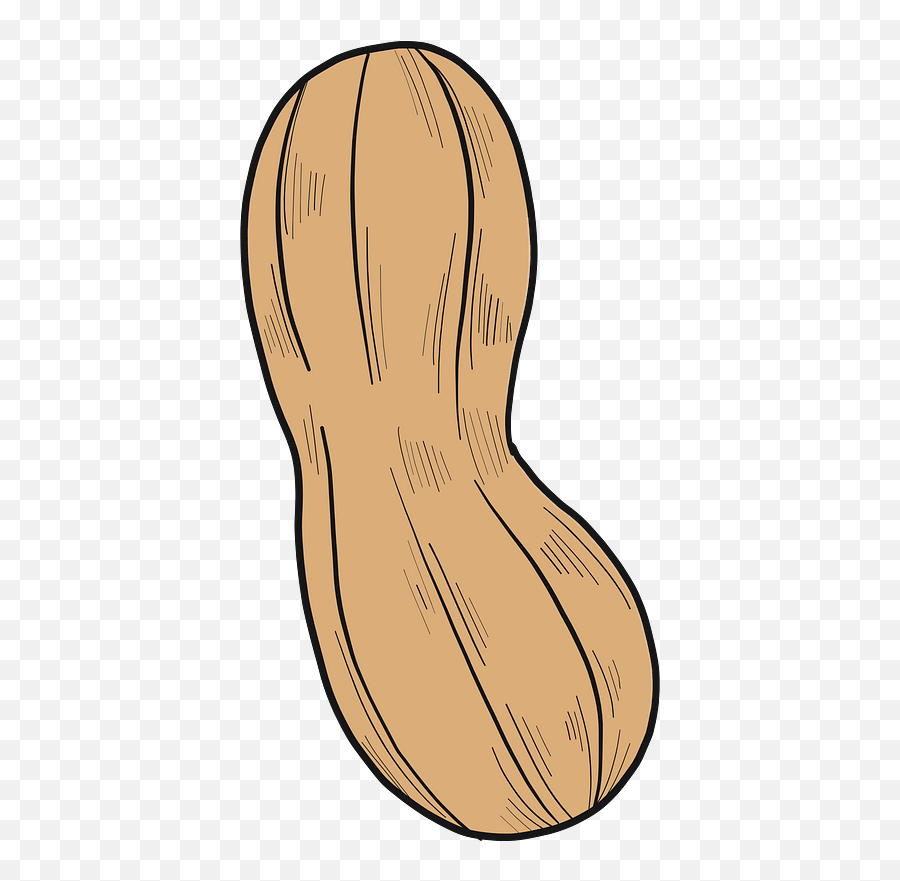 Peanut Clipart - Butternut Squash Emoji,Peanut Clipart