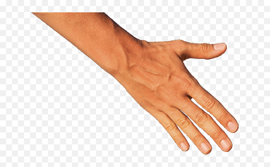 Helping Hand Png - Mission Tampa Helping Hand Down Arm Helping Hand Transparent Real Hands Emoji,Arm Transparent