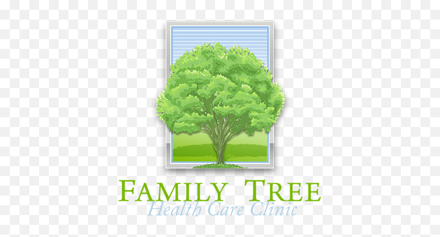 Home Family Tree Healthcare Emoji,Family Tree Png
