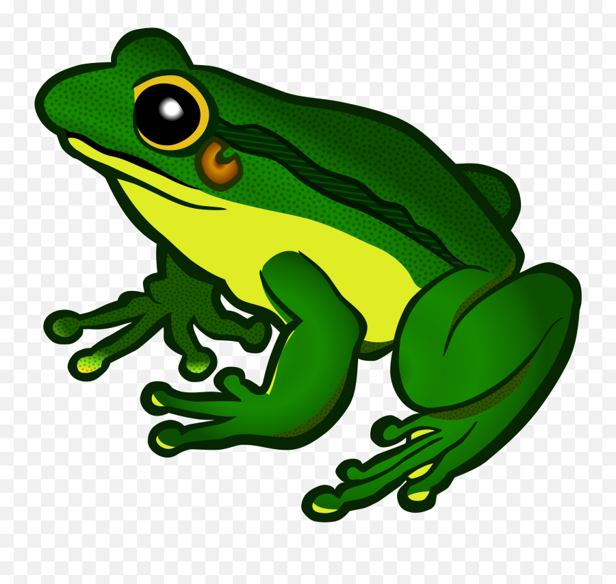 Imagenes De Frog - Clipart Best Emoji,Frog Pond Clipart