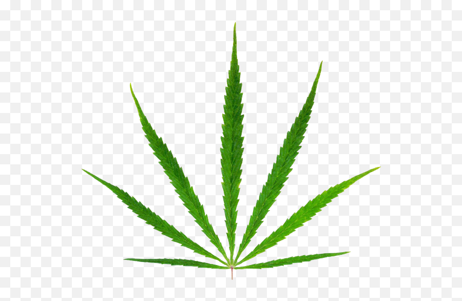 Green Marijuana Png - Industrial Hemp Emoji,Weed Clipart
