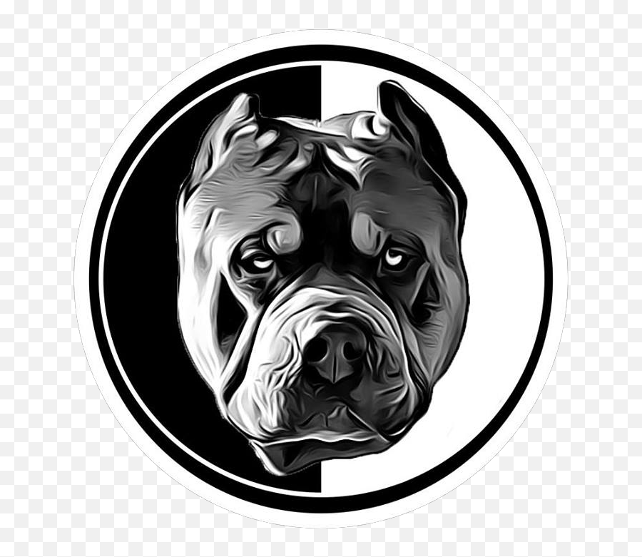 Bossy Socal - Home Of The American Bully Emoji,Bully Png