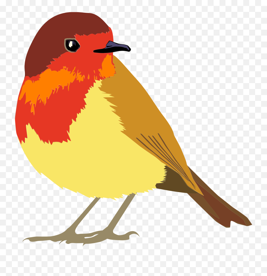 Download Vector Transparent Download Clipart Robin Bird - Robin Bird Clipart Png Emoji,Robin Clipart