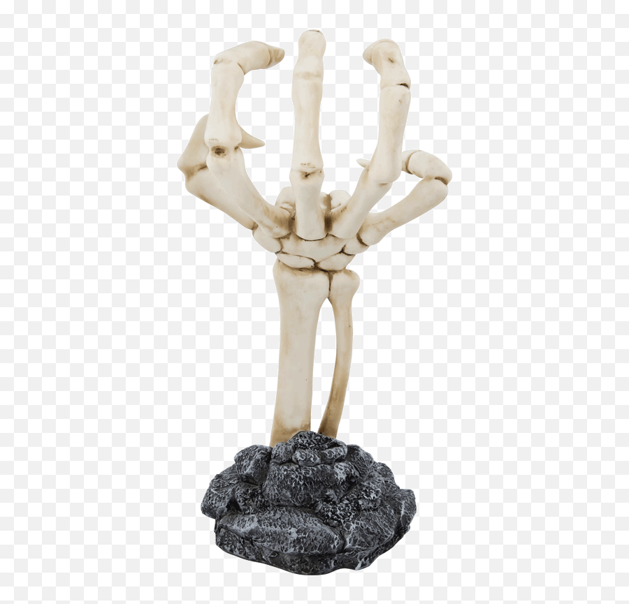 Human Skeleton Human Body Human Anatomy Pomade - Skull Hand Suavecito Hand Display Emoji,Skeleton Hand Png
