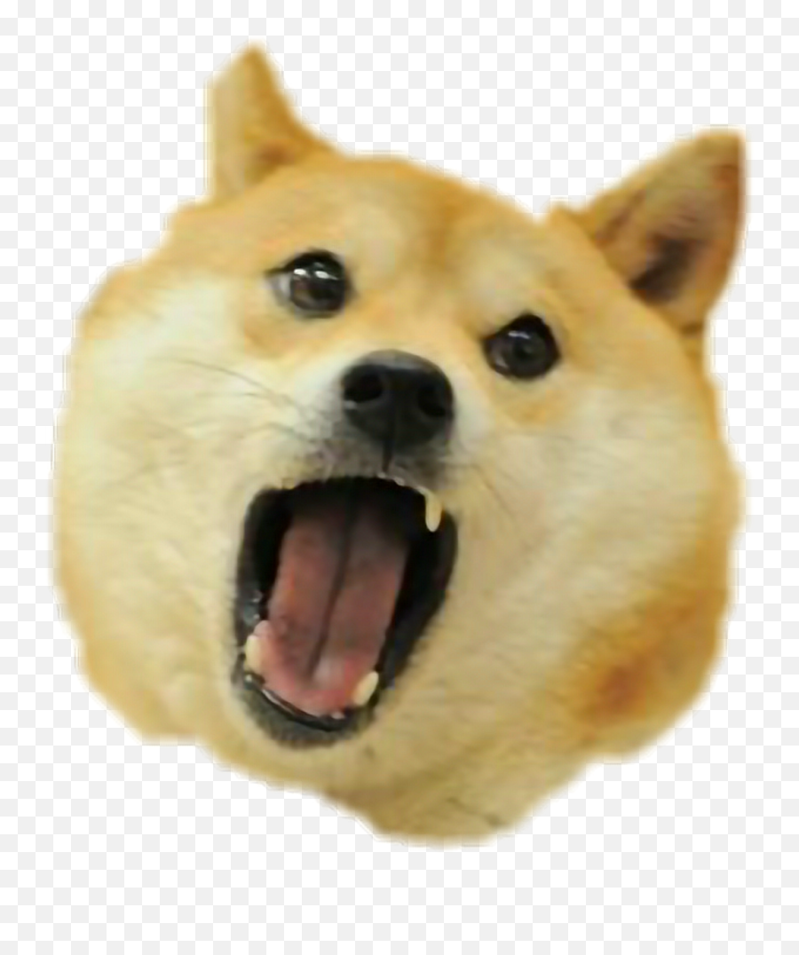 Download Hd Doge Sticker - Original Doge Transparent Png Transparent Png Doge Head Emoji,Doge Png