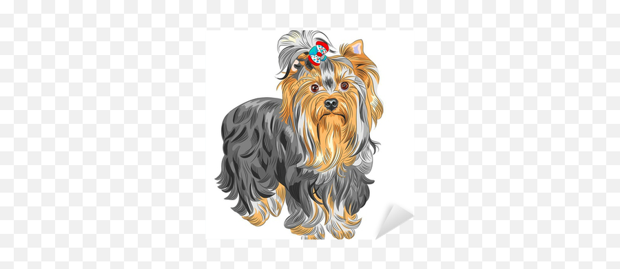 Vector Cute Pedigreed Dog Yorkshire Terrier Sticker U2022 Pixers Emoji,Yorkie Clipart