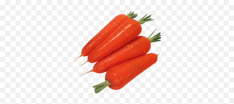 Carrot Transparent Hq Png Image - Carrot Hd Images Png Emoji,Carrot Png