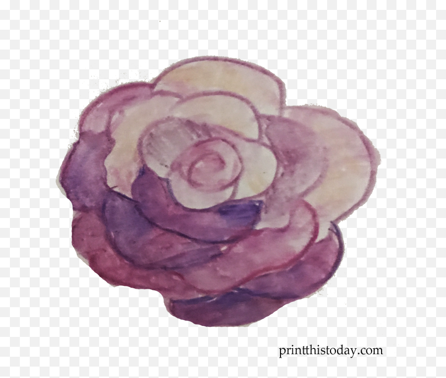 Free Handmade Watercolor Wreath And Flowers For Blogs And - Garden Roses Emoji,Watercolor Wreath Png