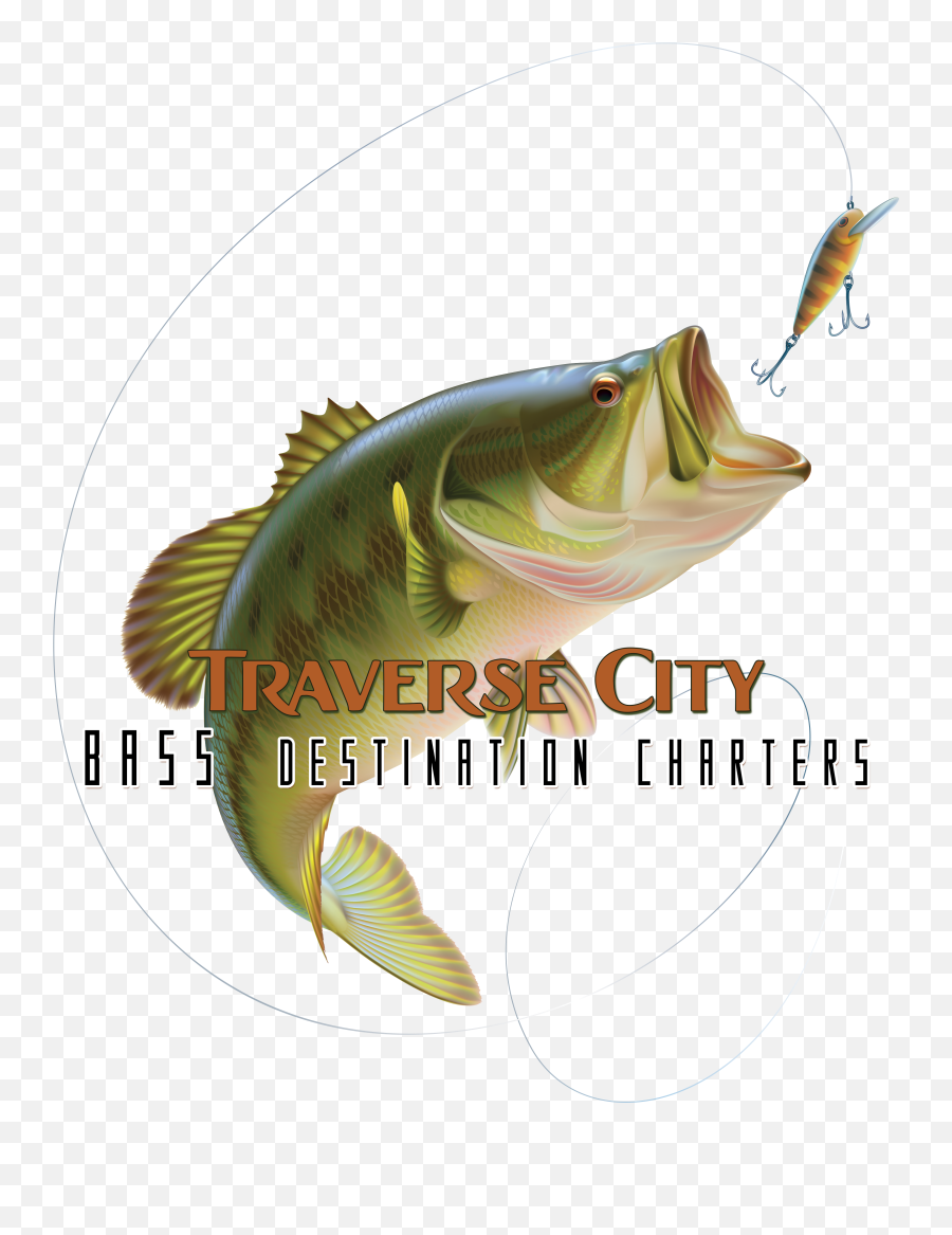 Bass Fish Png - Largemouth Bass Jumping Out Of Water Emoji,Bass Fish Png