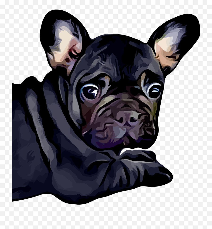 French Bulldog Dog Puppy Emoji,French Bulldog Png