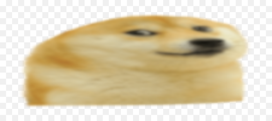 Quoge Png Rdogelore Quoge Know Your Meme Emoji,Pomeranian Png