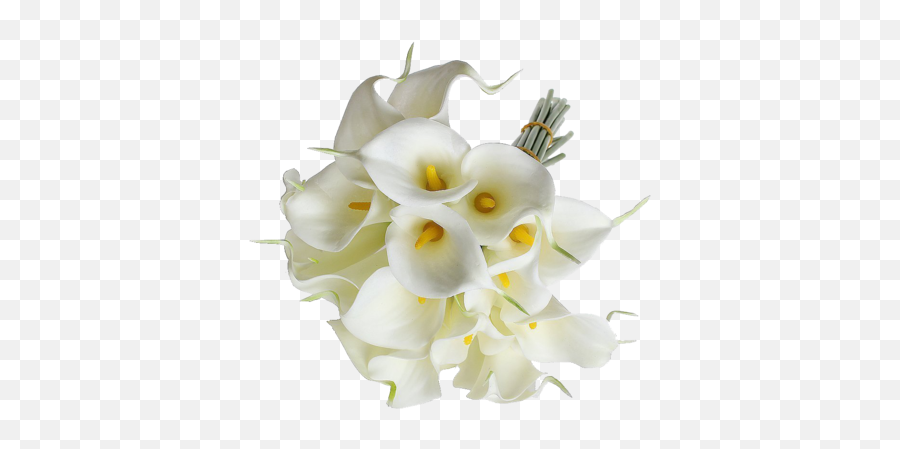 Eforcase Refreshing Calla Lily Bridal Wedding Bouquet Flower Emoji,Wedding Flowers Png