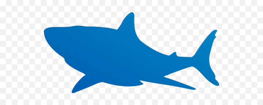 Shark Png Hd Images Stickers Vectors Emoji,Shark Head Clipart