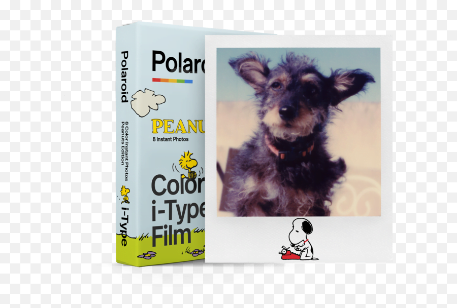 Polaroid Color Iu2011type Film U2011 Peanuts 6024 - Lablaabcom Emoji,Polaroid Film Png