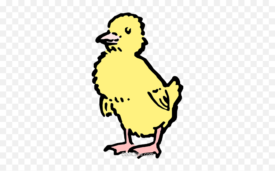 Baby Chick Royalty Free Vector Clip Art - Landfowl Emoji,Chick Clipart