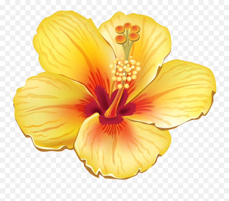 Hawaiian Flowers Hawaiian Art Exotic - Transparent Background Tropical Flower Clipart Emoji,Hawaiian Flower Clipart