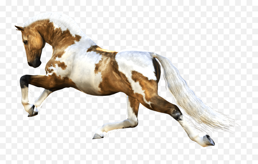 Download Horse Png 3 Hq Png Image - Horse Running Png Emoji,Horse Png