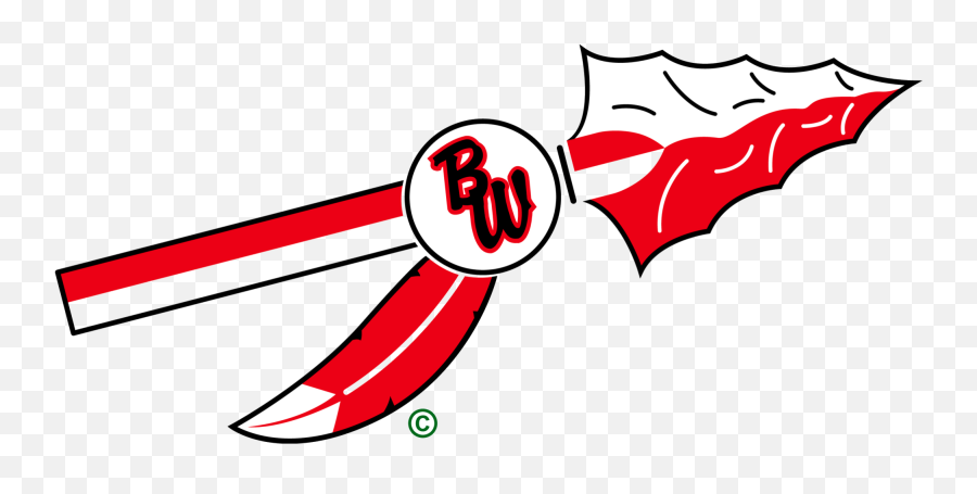 The Baldwin - Baldwin Woodville Blackhawks Emoji,Blackhawk Logo