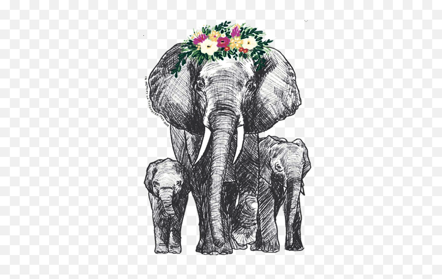 Ivory Ella - Indian Elephant Emoji,Ivory Ella Logo