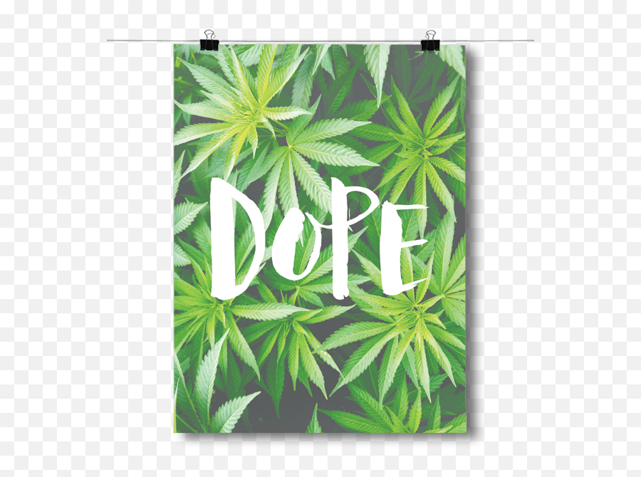 Dope - Marijuana Leaf Language Emoji,Marijuana Leaf Transparent