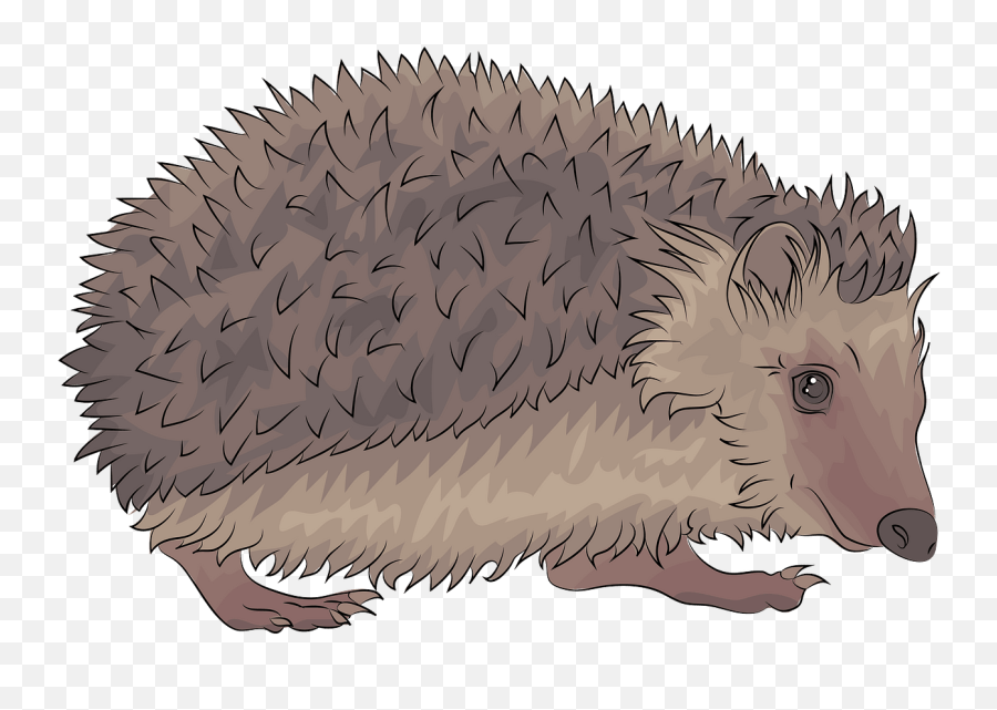 Hedgehog Clipart - Igel Clipart Emoji,Hedgehog Clipart