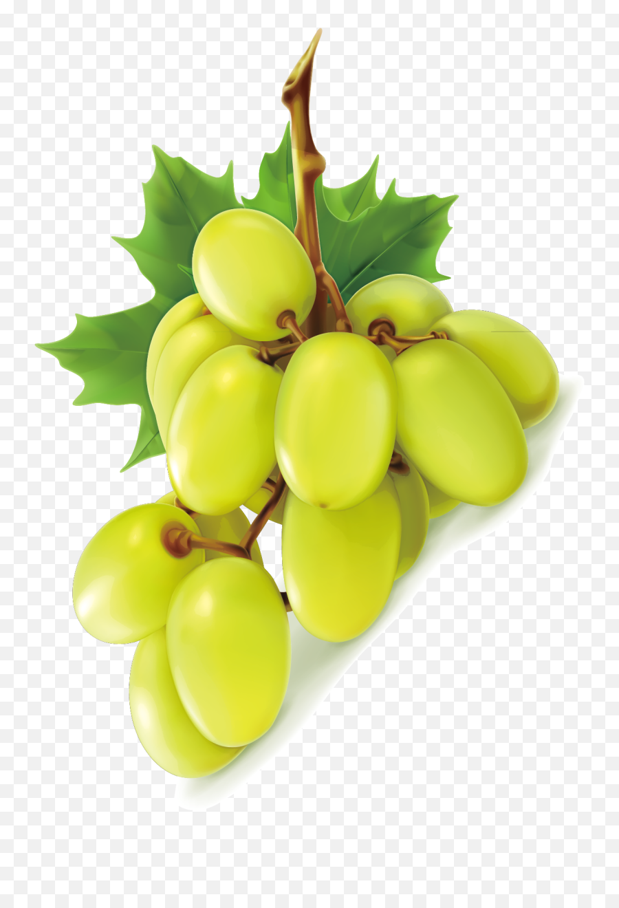 Green Grapes - Grape Png Image U0026 Grape Clip Art Grapes Emoji,Grape Clipart Black And White