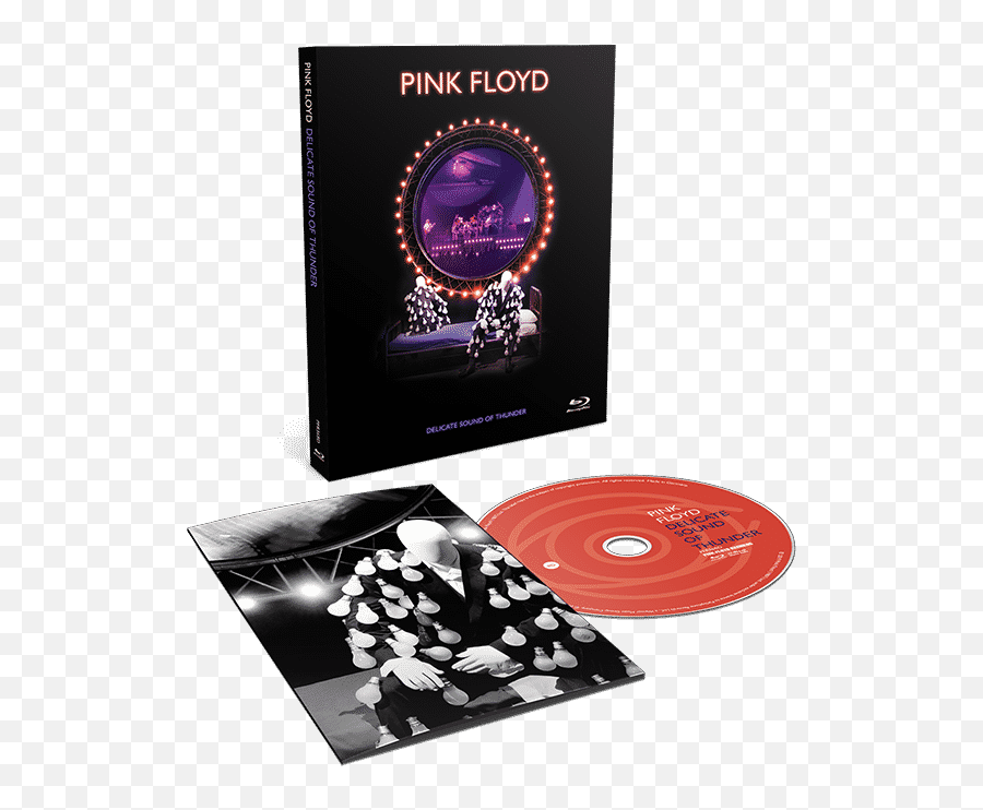 Review Pink Floyd Delicate Sound Of Thunder - The Second Emoji,Pink Floyd Png