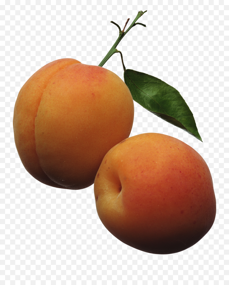 Peach Png Image - Apricots Clipart Emoji,Peach Png