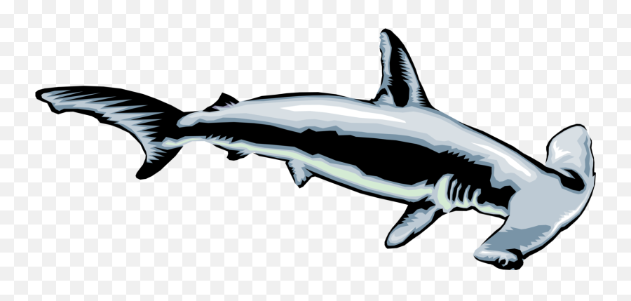 Hammerhead Shark - Vector Image Hammerhead Shark Vector Emoji,Shark Clipart