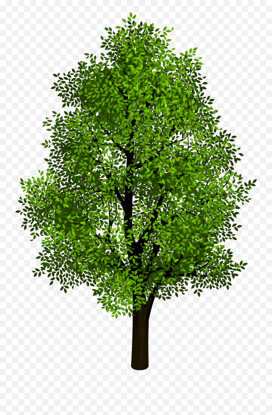Tree Isometric Projection Clip Art - Tree Blank Background Emoji,Tree Transparent